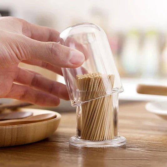 Acrylic Toothpick Holder - smartease