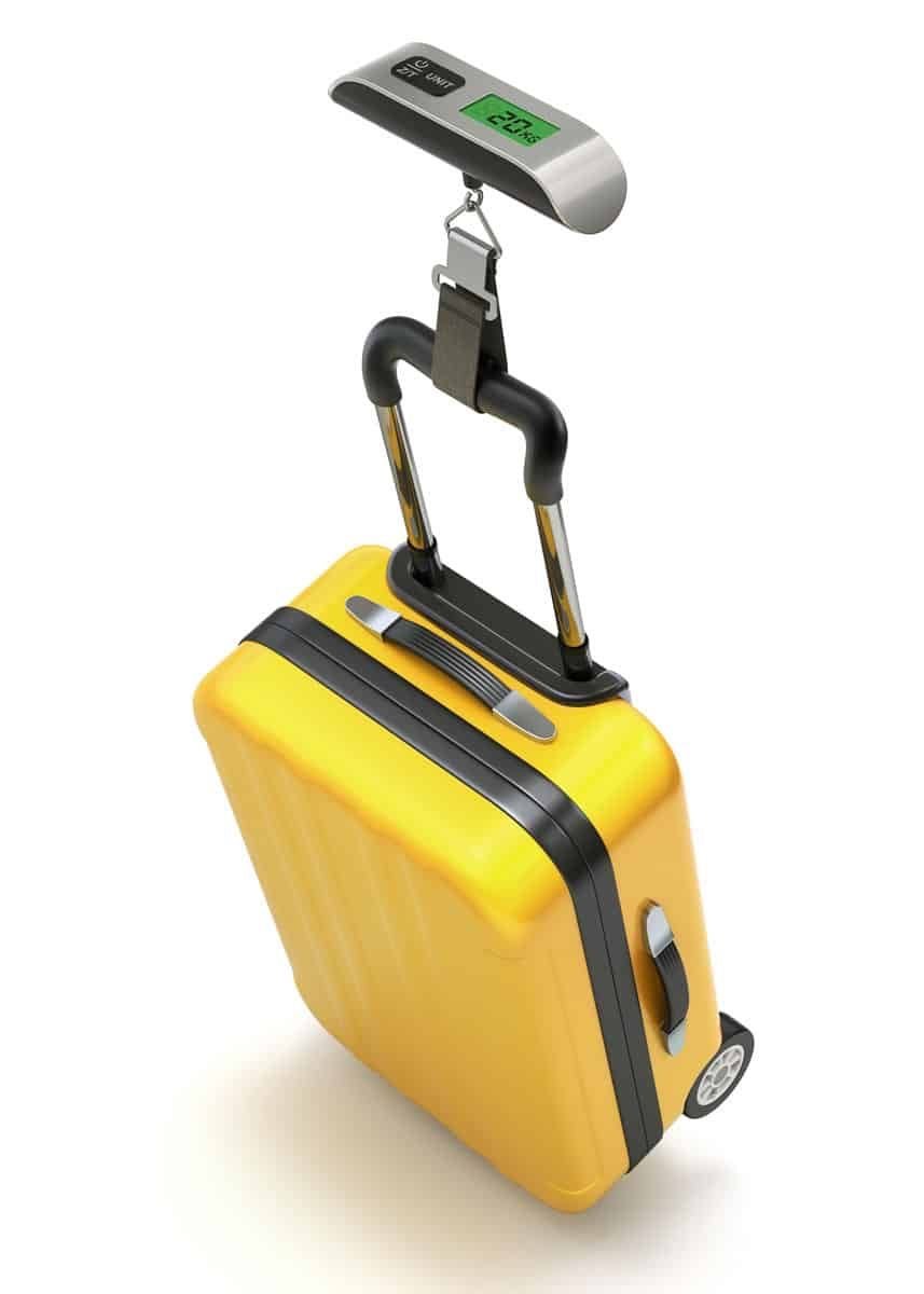 Digital Luggage Scale - smartease
