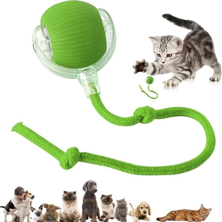 Electric Smart Tail Rolling Ball - smartease