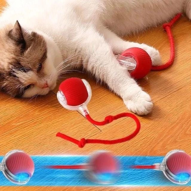 Electric Smart Tail Rolling Ball - smartease
