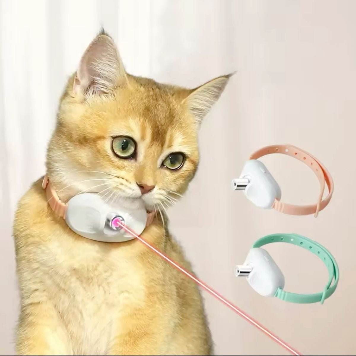 Interactive Cat Laser Collar Toy - smartease