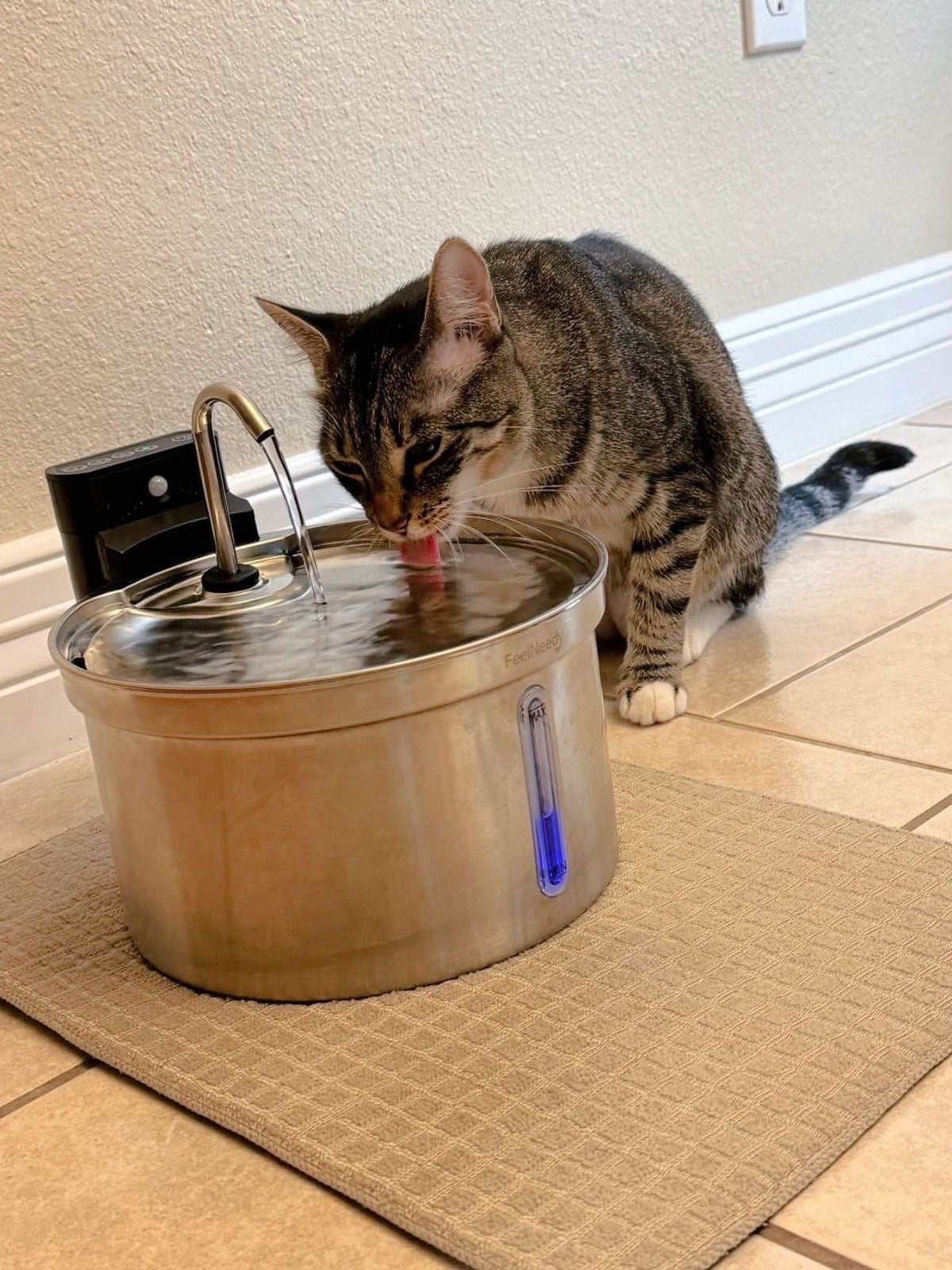 Steel Paws Stainless Steel Pet Water Fountain - smartease